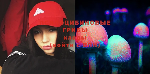 СК Алзамай