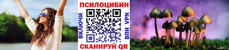 Галлюциногенные грибы мицелий  Бикин 